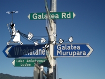 Gala in Galatea, New Zealand